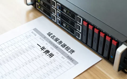 域名服务器租赁多少钱，租用一台服务器一年费用多少？