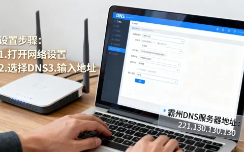 霸州DNS的服务器地址是多少？，怎么设置