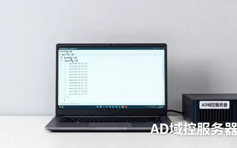 客户端怎么看AD域服务器地址，AD域电脑如何查看域控地址？