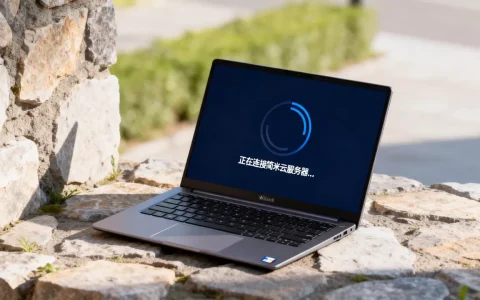 Win10为何登录不了简米云服务器,一直转圈怎么解决？