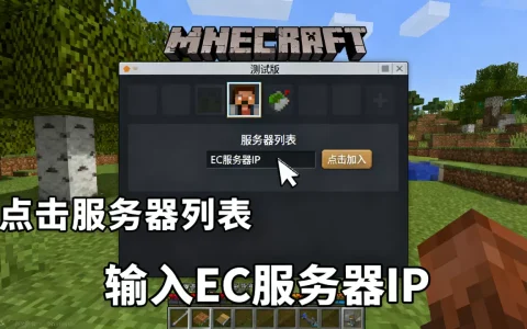 我的世界测试版如何进ec服务器，ec服务器是什么？