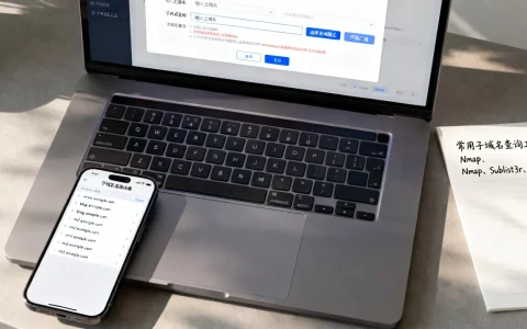 如何高效查询域名下的所有子域名？，子域名查询工具有哪些？