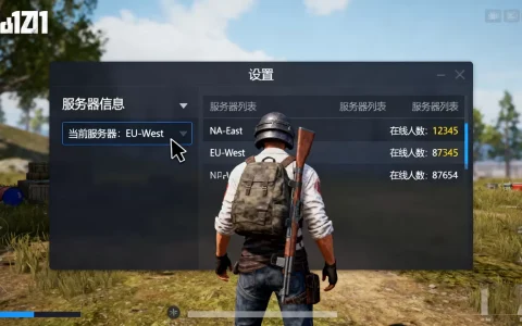 h1z1如何查看自己在哪个服务器，h1z1哪个服务器人多？