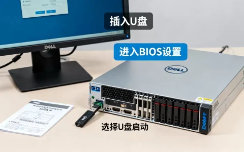 戴尔e33s服务器系统无法启动怎么办，用U盘怎么重装系统