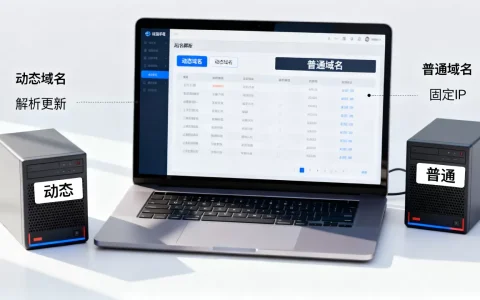 动态域名和普通域名有什么区别？动态域名怎么选？