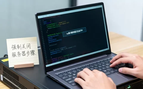 su显示服务器正在运行中怎么解决，如何强制关闭服务器？