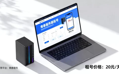 青春服务器租号多少钱一天，青春服务器租号平台哪个便宜？