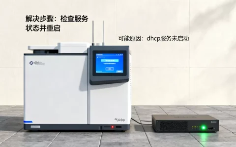 气相仪器dhcp服务器没有响应怎么办，是什么原因造成的