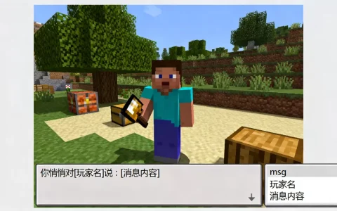 我的世界服务器中如何悄悄地和别人交流？,怎么开启私聊功能？