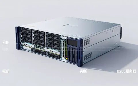 B200服务器多少钱一台？，租用与买断哪个更划算？