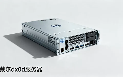 戴尔dx0d服务器终端性能如何，值得买吗？