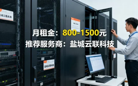 盐城租云服务器多少钱一个月，哪家性价比最高