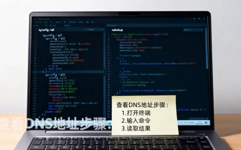 怎么查看服务器的DNS地址？，DNS查询命令有哪些？