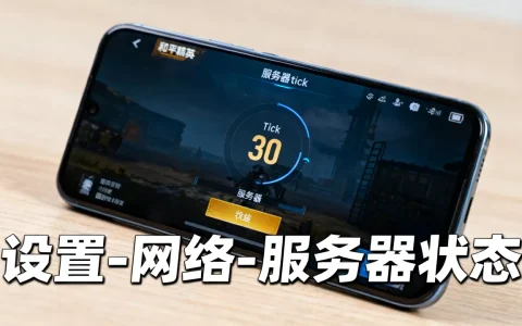 和平精英手游服务器tick到底是多少，怎么查看？