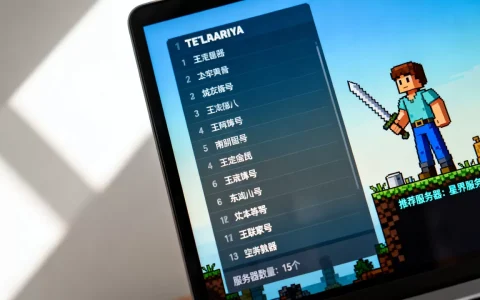 泰拉瑞亚一共有多少服务器，哪个服务器最好？