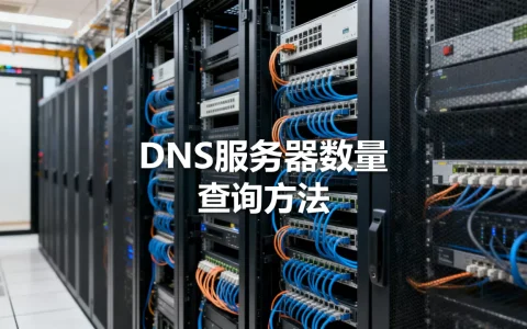 中国的DNS服务器有多少台？，如何查询？