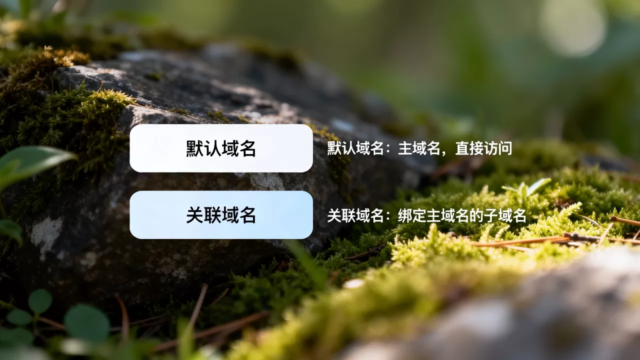 默认域名和关联域名到底有什么区别?,默认域名和关联域名哪个好 默认域名和关联域名到底有什么区别?,默认域名和关联域名哪个好