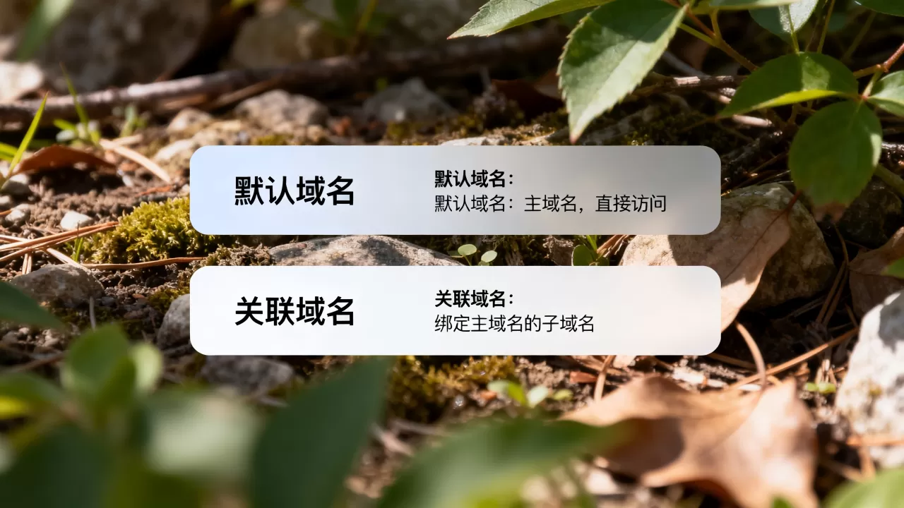 默认域名和关联域名到底有什么区别?,默认域名和关联域名哪个好 默认域名和关联域名到底有什么区别?,默认域名和关联域名哪个好