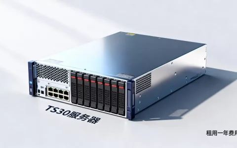 ts30服务器报价多少，租用一年费用贵不贵？