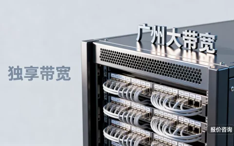 广州大带宽独享带宽怎么报价，价格贵不贵？