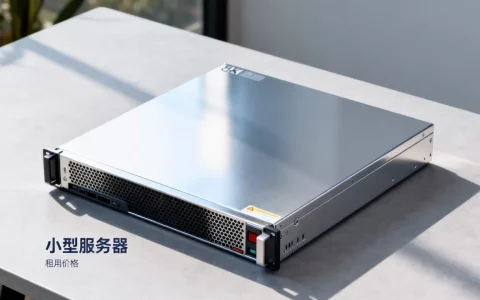 小型服务器租一年多少钱，租用价格贵不贵？