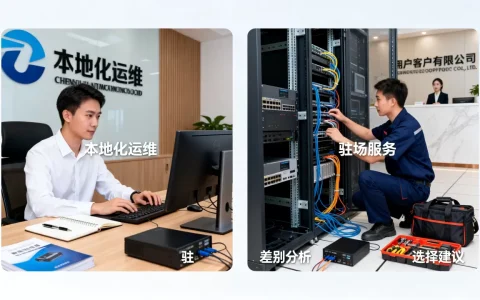 本地化运维与驻场服务的差别怎么看？，如何选择更合适。