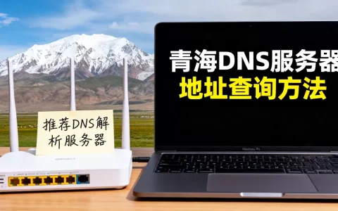 青海DNS服务器地址在哪里找，哪个DNS解析最快？