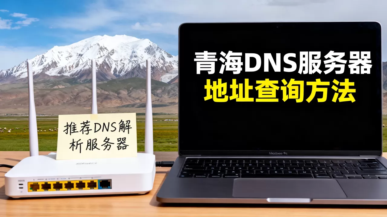 青海DNS服务器地址在哪里找,哪个DNS解析最快? 青海DNS服务器地址在哪里找,哪个DNS解析最快?