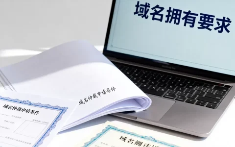 域名仲裁前必须先拥有域名吗，域名仲裁的申请条件有哪些