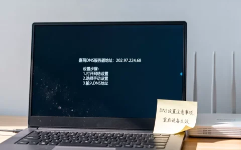嘉荫DNS服务器的具体地址是多少，怎么设置？