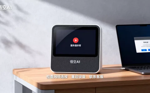 悟空a1显示服务器异常怎么办，是什么原因导致的？