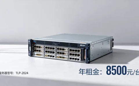 吐鲁番服务器多少钱一台，租用一年费用要多少？