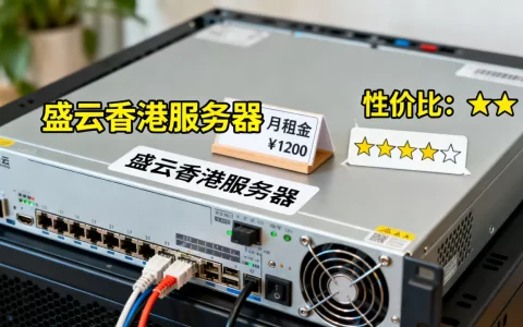 盛云香港服务器租用价格贵吗,哪家性价比高？