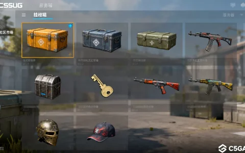CSGO挂箱子服务器都有哪些，哪个平台最靠谱？
