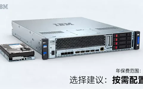 IBM服务器每年保费多少，怎么选才划算？
