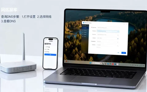 网络DNS服务器地址是多少？，DNS怎么查？
