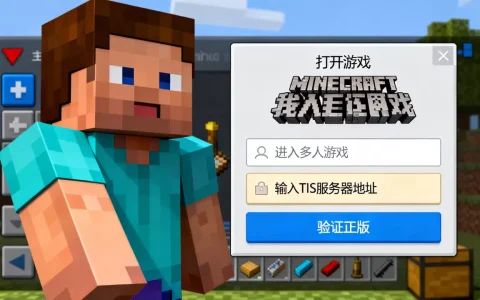 我的世界国际版如何加入TIS服务器，TIS服务器需要正版吗
