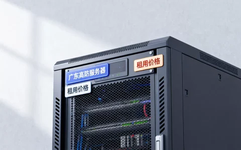 广东高防服务器多少钱一个月，广东高防服务器租用哪家好？