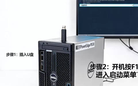 戴尔服务器r530怎么设置U盘启动？，怎么进入BIOS？
