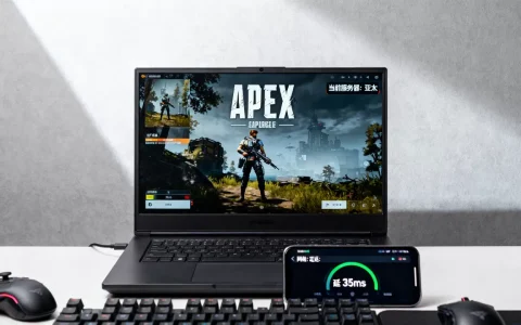 apex怎么看自己玩的是啥服务器，怎么查服务器延迟