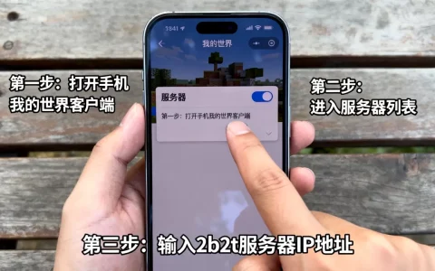 手机版怎么加入2b2t服务器？,详细步骤有哪些？