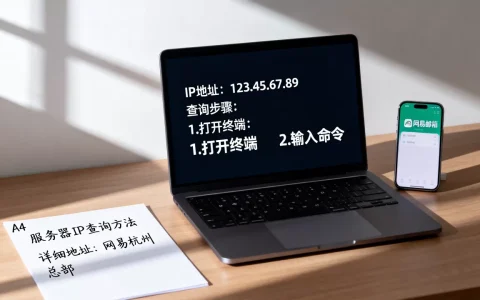 网易邮箱服务器IP是什么？如何查询详细地址？