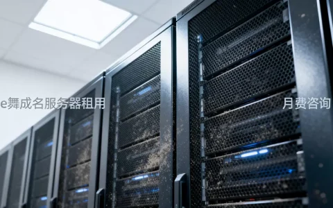 e舞成名服务器租用多少钱一个月，哪家便宜？