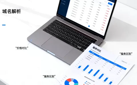 金万维域名解析价格是多少？不同服务有何区别？哪个更划算