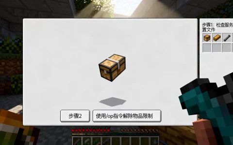 我的世界服务器怎么放被ban物品？，无法放置怎么办