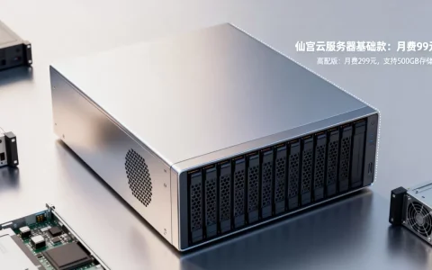 仙宫云服务器多少钱一台，具体价格和性价比如何？