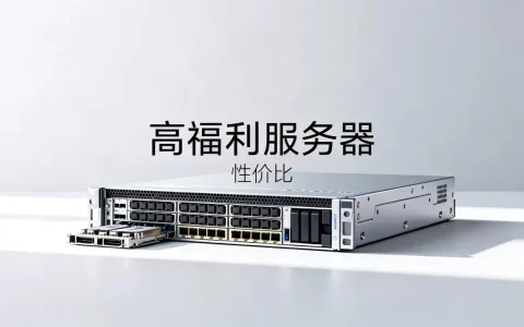 哪些服务器福利高值得入手，高福利服务器怎么选才划算？