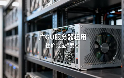 广州GPU服务器租用选哪家好，怎么选性价比高？
