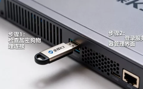 金蝶K3加密服务器如何查看？,加密狗状态查询教程
