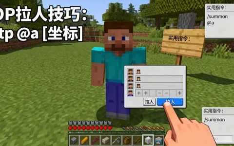 我的世界服务器OP怎么拉所有人，有哪些实用技巧？